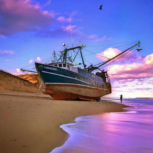 سومر یالا گود بای